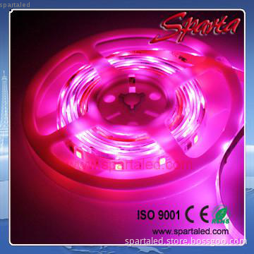 factory price led strip 5050 rgb ip68 5m/roll  flexible strip RGB